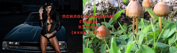 ешки Пестово