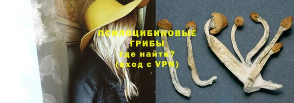 мескалин Переславль-Залесский