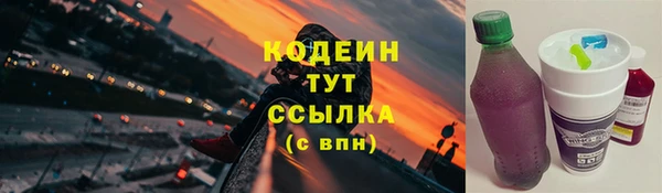дживик Лабытнанги
