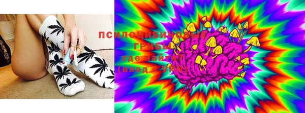 кокс Пересвет
