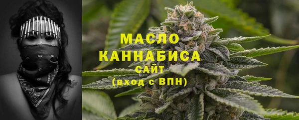 гидра Гусев