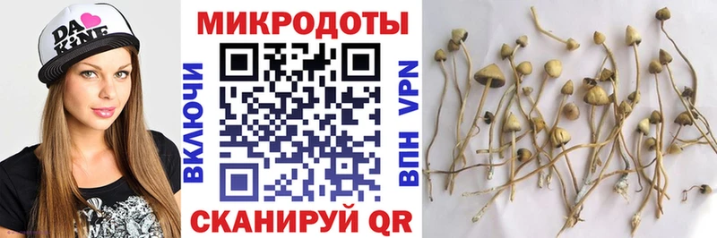 Галлюциногенные грибы Psilocybine cubensis  MEGA ТОР  Старица  как найти закладки 
